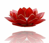 Chakra Lotus Flower Tea Light Holder - Capiz Shell - 1st Chakra