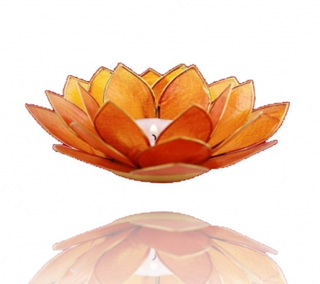 Chakra Lotus Flower Tea Light Holder - Capiz Shell - 2nd Chakra