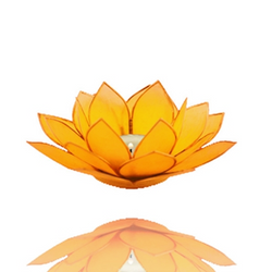 Chakra Lotus Flower Tea Light Holder - Capiz Shell - 3rd Chakra