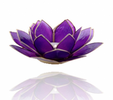 Chakra Lotus Flower Tea Light Holder - Capiz Shell - 7th Chakra